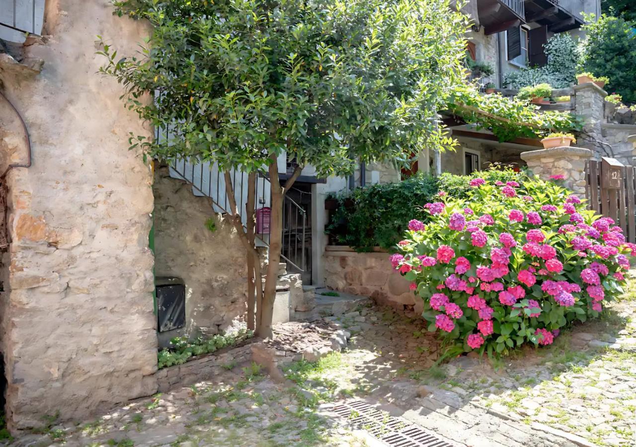 Casa Del Borgo: Appartamento Immerso Nel Verde A/C Bellano Eksteriør bilde